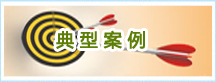 典型案例